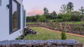 Jeju moridarakbang pension